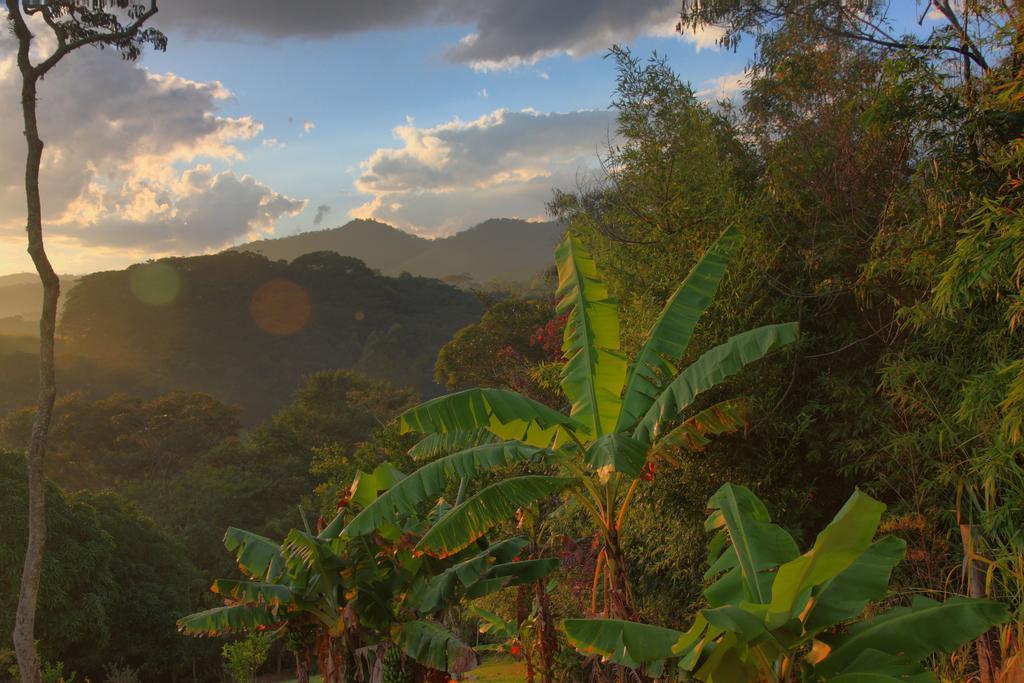 Pousada Coracao Verde มิเกลเปเรรา ภายนอก รูปภาพ