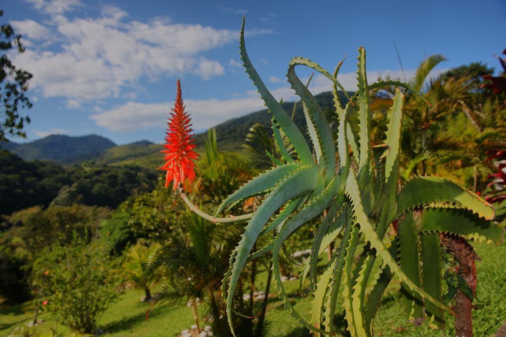 Pousada Coracao Verde มิเกลเปเรรา ภายนอก รูปภาพ
